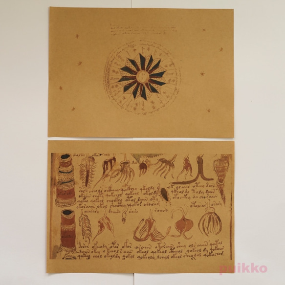 紙質書本Voynich手稿（彩色） 第4張的照片