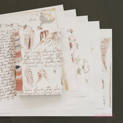 紙質書本Voynich手稿（彩色） 第5張的照片