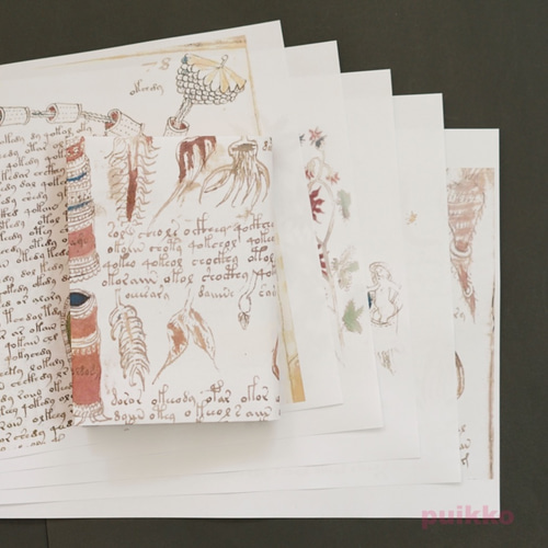 ヴォイニッチ手稿 ハードカバー ヴォイニッチ手稿複製本（The Voynich Manuscript）
