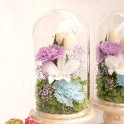 「お供え花」デンファレのプリザーブドフラワーのガラスドーム　寒色系＜受注制作＞ 2枚目の画像