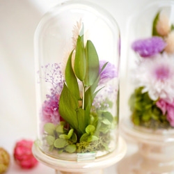 「お供え花」デンファレのプリザーブドフラワーのガラスドーム　寒色系＜受注制作＞ 3枚目の画像