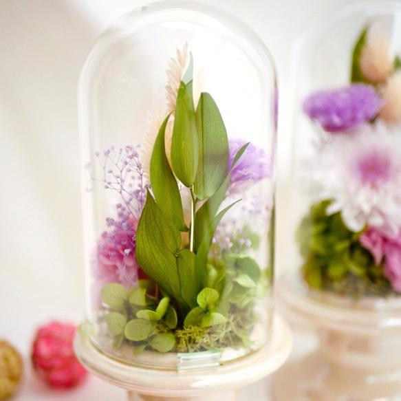 「お供え花」デンファレのプリザーブドフラワーのガラスドーム　寒色系＜受注制作＞ 3枚目の画像