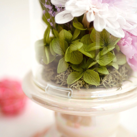 「仏花」ことね菊のガラスドーム プリザーブドフラワー＜受注制作＞お供え花 6枚目の画像
