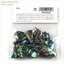 再入荷★アバロンシェル チップ 20g 素材 ニュージーランド産 パウア貝 天然 ビーチ 海　貝がら 4枚目の画像