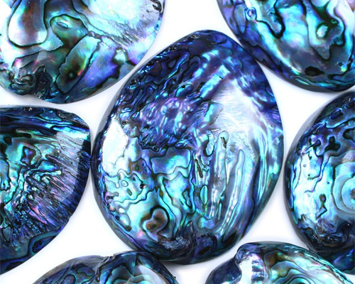 グリーンアバロン 原貝 貝殻 アバロンシェル 865g 約21×16cm アバロン