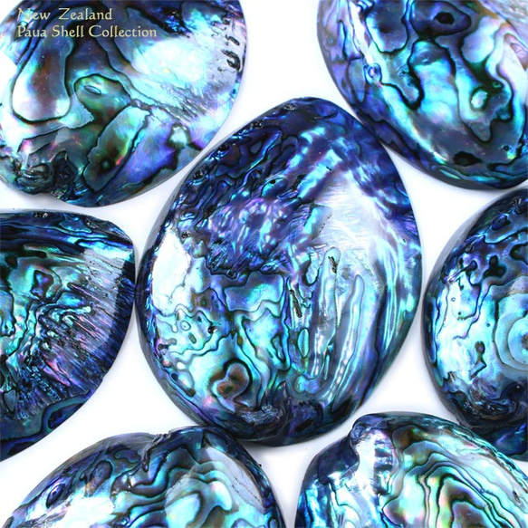 グリーンアバロン　アワビ　パウア貝　アバロンシェル　815g 約23×17cm アバロン シェル（パウワ・アワビ）貝皿 | 海界 una saka