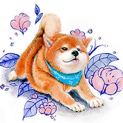 Shiba Inu postcard 1枚目の画像