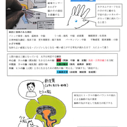 脳幹調整法　うつ　自律神経失調症　パニック障害等の脳の障害に 脳の気の流れが悪い箇所の波動調整を行う 1枚目の画像