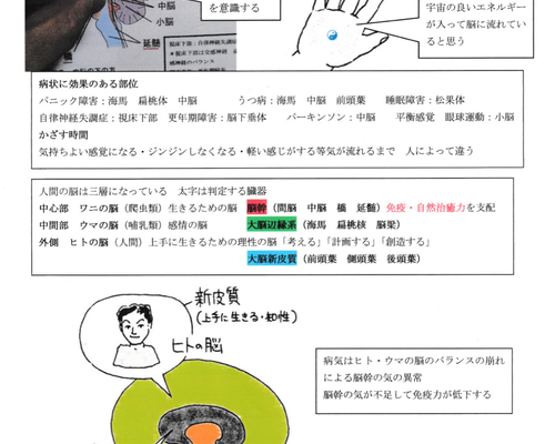 脳幹調整法 うつ 自律神経失調症 パニック障害等の脳の障害に 脳