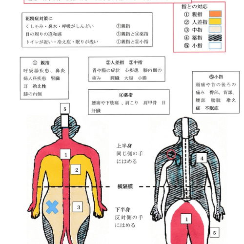 コーヤさんから購入した ゼロ磁場リング ゼロ磁場リング 重心のバランスを取るため手の小指にはめます 小指の