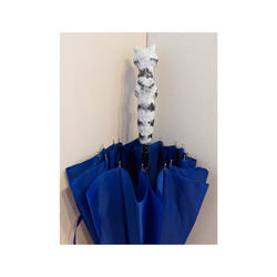 アメリカンショートヘア　青雨用長傘 4枚目の画像