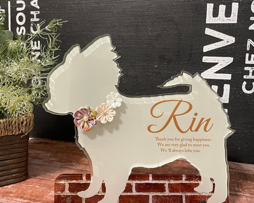 0_a57879d8d4f056a7310766b2481f