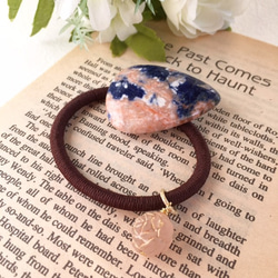 希少石】イットリウムフローライトの一粒ピアス ピアス（フック