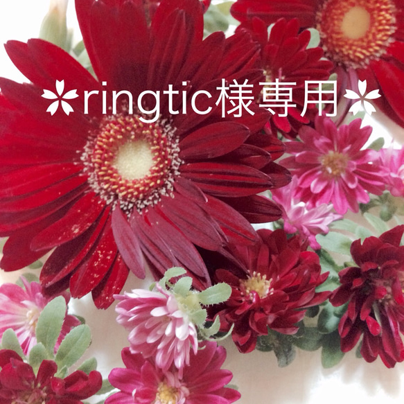 ringtic様専用 1枚目の画像