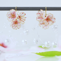 桜とパールシャワーピアス　マット仕上げ　 4枚目の画像
