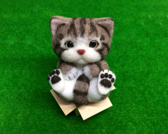 カートンコントロール/ Ma Ling Tiger Cat 2枚目の画像