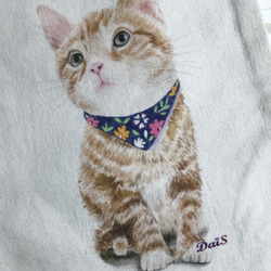 絲巾貓/大束口袋 第2張的照片