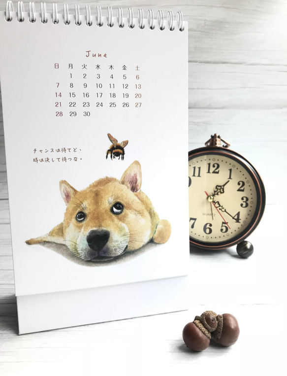 2020猫と犬の魂卓上カレンダー（日本語版） 2枚目の画像