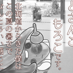 アルテの食パン 北海道産100%贅沢とうもろこし食パン「どさんこ もろこ」【土曜発送限定9月29日まで】 2枚目の画像