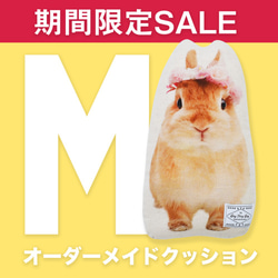 【期間限定SALE】クッション ◇サイズM オーダーメイドクッション 犬 猫 うちの子クッション 早割クリスマス2021 1枚目の画像