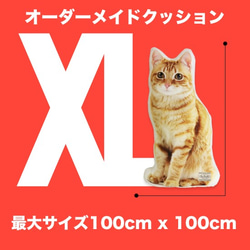 【オーダーメイド】クッション ◇サイズXL ペット オリジナルクッション 犬 猫 うちの子クッション 高品質 01 1枚目の画像