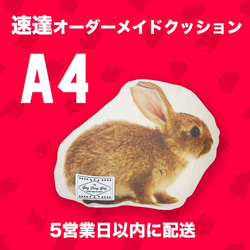 【速達オーダーメイド】クッション ◇A4サイズ ペット オリジナルクッション 犬 猫 うちの子クッション 高品質 1枚目の画像