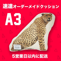 【速達オーダーメイド】クッション ◇A3サイズ ペット オリジナルクッション 犬 猫 うちの子クッション 高品質 1枚目の画像