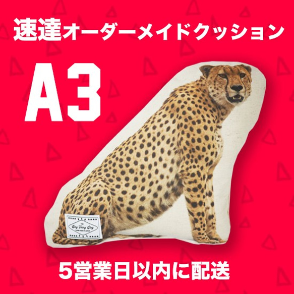 【速達オーダーメイド】クッション ◇A3サイズ ペット オリジナルクッション 犬 猫 うちの子クッション 高品質 1枚目の画像