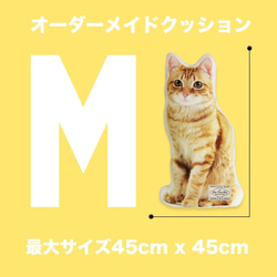 ◎ねこオーダーページ◎ ◎ねこオーダーページ◎