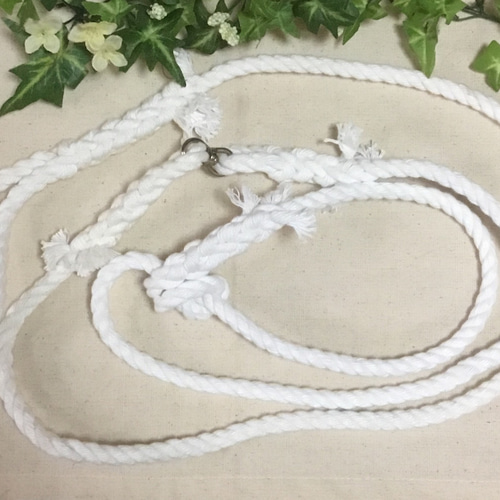 秋田犬仔犬・柴犬用 運動リード リード・首輪 桜庵 通販 5902600