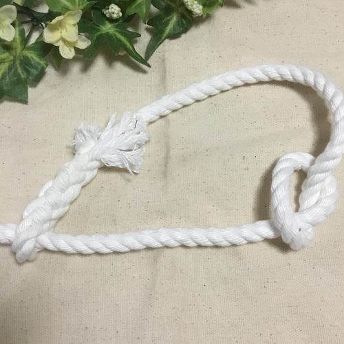 秋田犬仔犬・柴犬用 運動リード リード・首輪 桜庵 通販 5902600