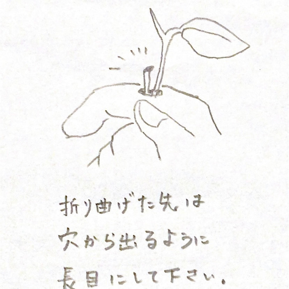 一隻手拿著一朵花的胸針，風化 第8張的照片