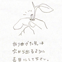 お花を持つ手のブローチ  白 8枚目の画像