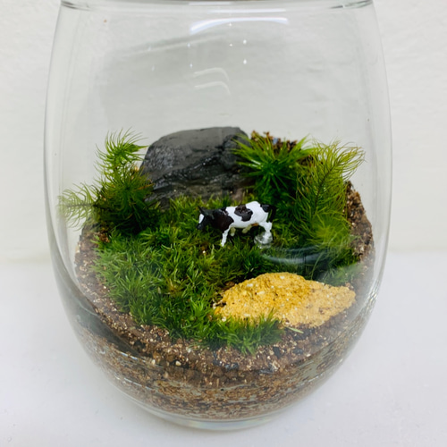 苔のテラリウム しずくボトル 牛 テラリウム Feel The Garden 通販