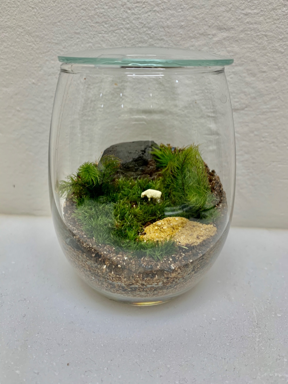 EXOTERRA 爬虫類・両生類用 グラステラリウム 照明付き 付属品多数