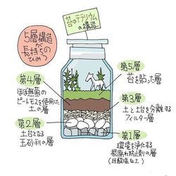 苔のテラリウム 牧場 牛のいる風景　薬瓶120ml 4枚目の画像