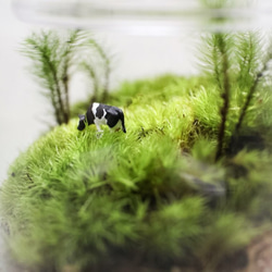 苔テラリウム 牧場 牛のいる風景 ポップジャーM 4枚目の画像