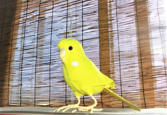 張り子の小鳥　セキセイインコ（黄） 1枚目の画像