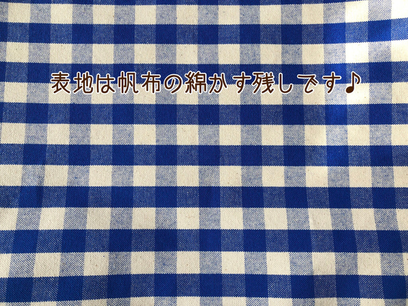 入園・入学準備★帆布★ギンガムチェックの上履き入れ　ブルー 5枚目の画像