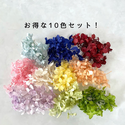 キラキラ☆ラメカールワイヤー(シャンパン) ハーバリウムに