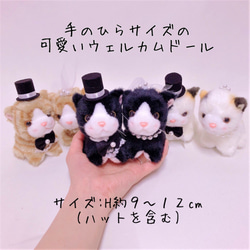 【プチシリーズ】お手玉キャット ミニウェルカムドール プチキャット ねこ （クロ） 結婚式 ぬいぐるみ 人気 黒猫ペア 4枚目の画像