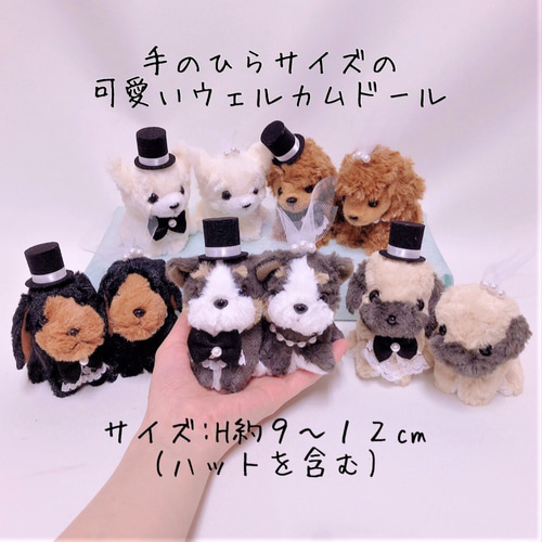 ぬいぐるみ型クラッチバッグ ブラック♡TWYFORD*プードル 楽天市場】お手玉ドッグ ミニウェルカムドール プチドッグ 犬