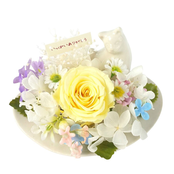 やえおく (Flower yae)様のお専用ページです YAE やえ