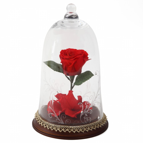美女と野獣 薔薇 ローズドーム ガラスドーム 魔法の薔薇