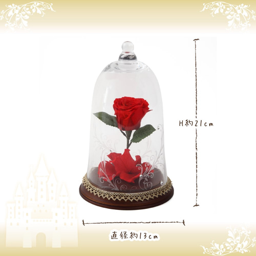 美女と野獣 薔薇 ローズドーム ガラスドーム 魔法の薔薇 美女と野獣 薔薇 ローズドーム ガラスドーム 魔法の薔薇