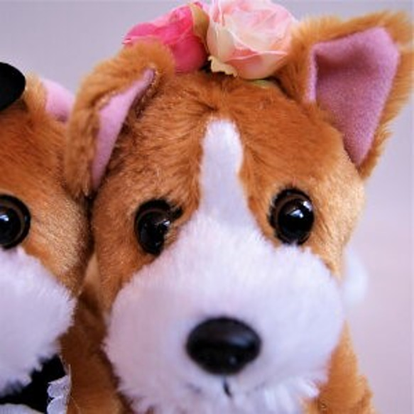 ウェルカムドール 犬（コーギー）   結婚式 ぬいぐるみ 高砂 受付装飾に、モコモココーギー 2枚目の画像