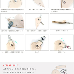 [免運費] 成人 Heart Slim Keyed Case“Ainity Hearts Slim Keyed Case”定做 第4張的照片