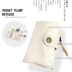 ▲POCKET ポップもダークも自分好みを作る「ポケットプランプ キーケース」小銭もカードもOK（PPK-CUSTOM） 2枚目の画像