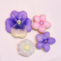 【箱入り】お花とチョコチップのギフトセット 2枚目の画像