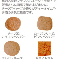 【限定販売】プレミアム塩クッキー缶【7月1日販売開始】 2枚目の画像